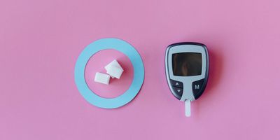 метаболизм