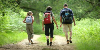 Тихая ходьба на природе