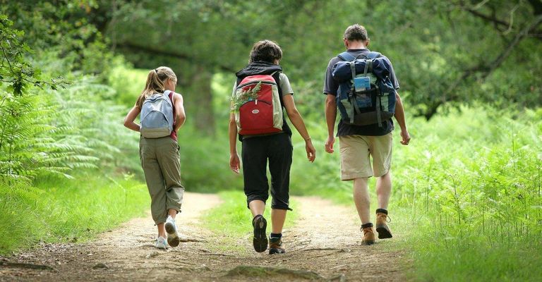 Тихая ходьба на природе